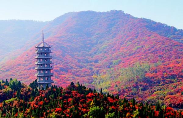 济南红叶谷门票+电子票景区门票