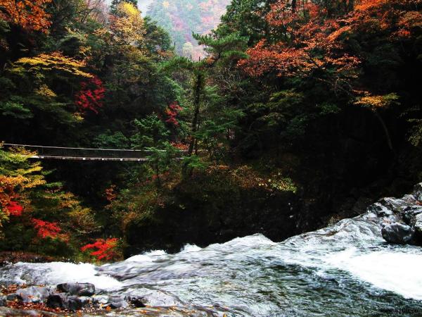 定西玉湖公园景点介绍