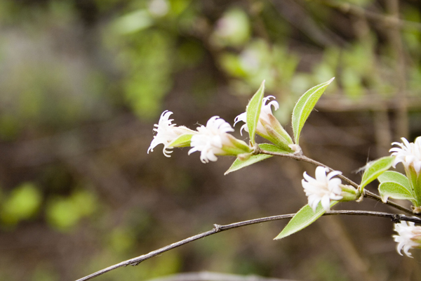 唐县秀水峪景点介绍唐县秀水峪景点门票价格