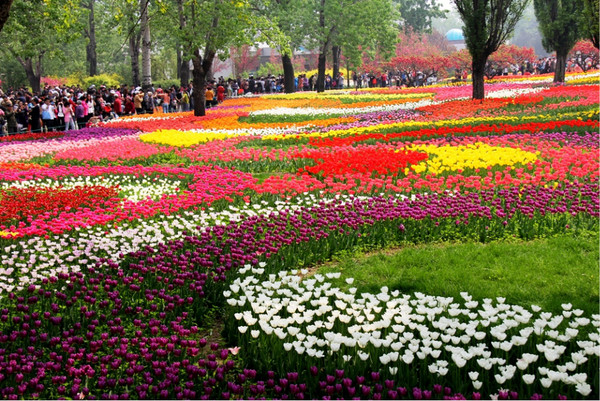 北京植物园景点介绍北京植物园门票-途家网旅