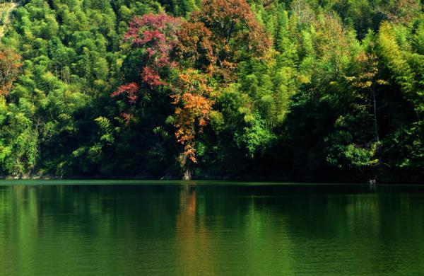 黄桑自然保护区景区景点介绍黄桑自然保护区门票价格及