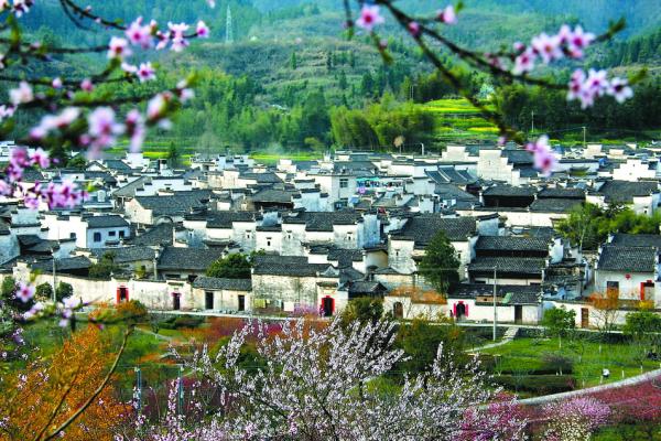 旅游指南  黄山旅游指南 西递村介绍 西递村游览指南  西递村位于我国