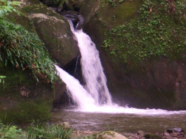 官山自然保护区简介 官山自然保护区路线