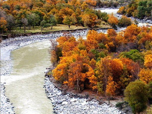 旅游指南  伊犁旅游指南 新疆夏塔景点介绍 夏塔门票价格   夏塔河的图片