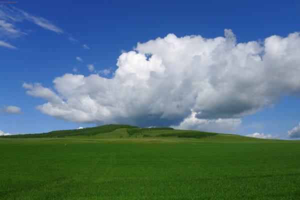 高坡云顶草场