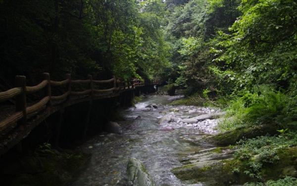 梵净山亚木沟 梵净山亚木沟景区简介