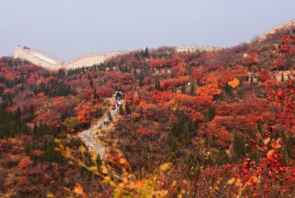 北京哪些地方可看红叶 北京赏红叶好去处