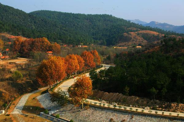 旅游指南 武汉旅游指南 正文  木兰云雾山优惠门票:25元 儿童(身高1.