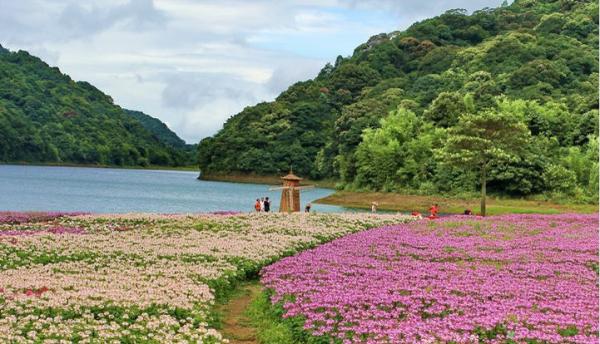 仙沐园温泉 此外,从化著名的景点还有石门森林公园, 石门森林公园里