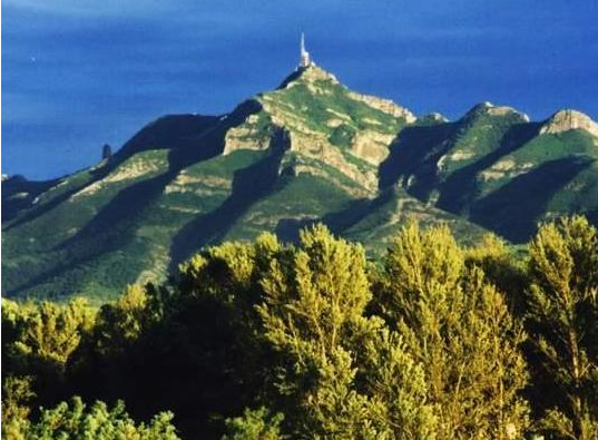 凤凰山森林公园