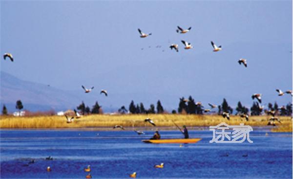 威宁草海好玩吗 威宁草海简介-手机途家网旅游指南