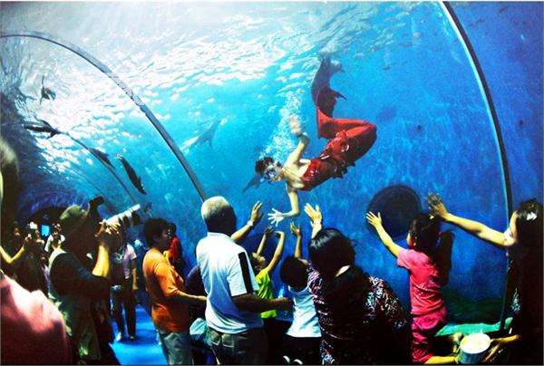 青岛海底世界人鱼表演