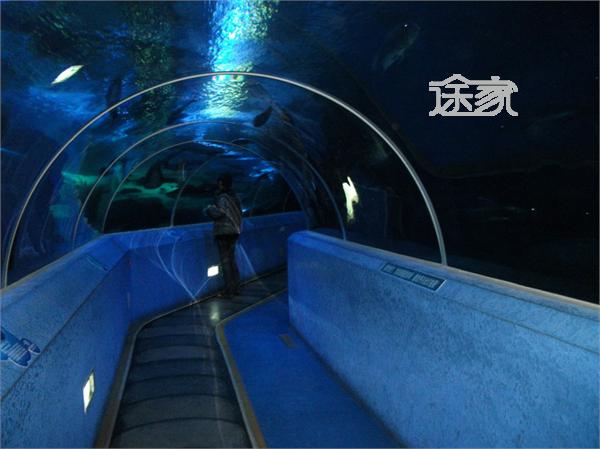 ൺ纣