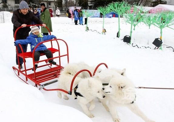 2014北京陶然亭冰雪节时间/门票/交通 2014陶然亭冰雪