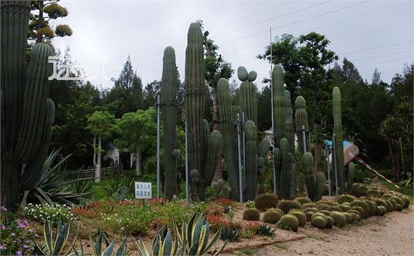 厦门园林植物园附近酒店有哪些 厦门园林植物园附近住宿推荐