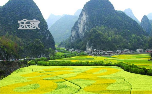 安顺龙宫 拉龙节简介 二月二龙抬头是我国传统龙文化中重要的文化活动