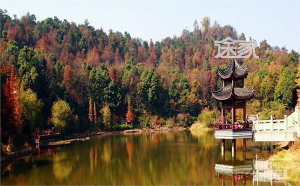 那里山清水秀,名胜古迹众多,而且有着深厚的文化底蕴,岳麓山是我国有