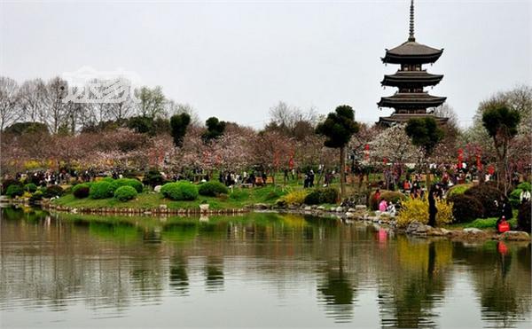 2014人ƱǮ 人Ʊ