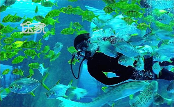 泉城海洋极地世界位于济南市齐河县黄河生态旅