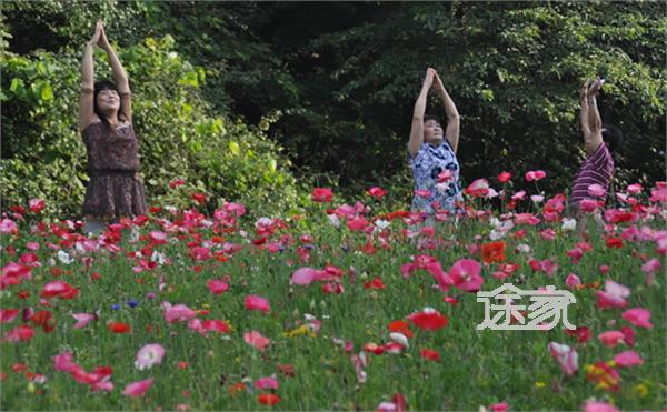 旅游指南 绵阳旅游指南 正文  由于药王谷地处绵阳市与江油市交界的