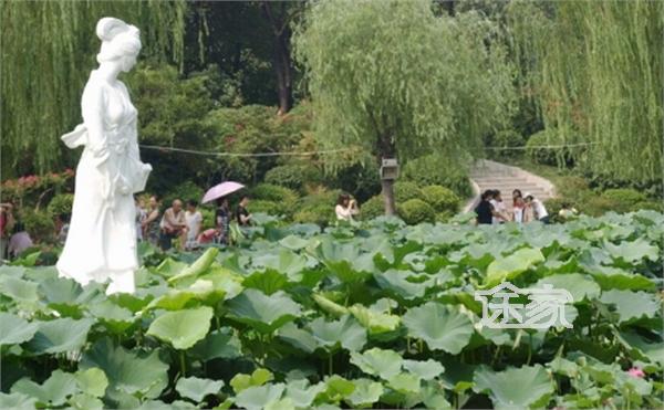 郑州紫荆山公园
