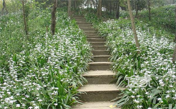 成都植物园在哪+成都植物园好玩吗