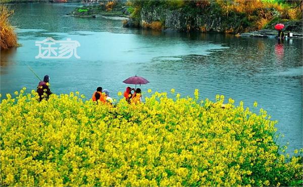 2014清明节祭祖有哪些禁忌 清明节祭祀注意事项