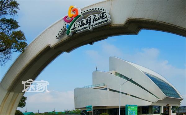 2014上海南汇鲜花港景点介绍 上海南汇鲜花港图片