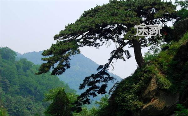泰山旅游景区美景