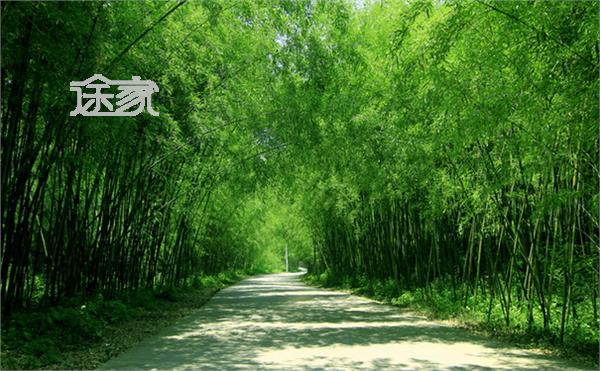 重渡沟风景区+重渡沟风景区位于河南省栾川县