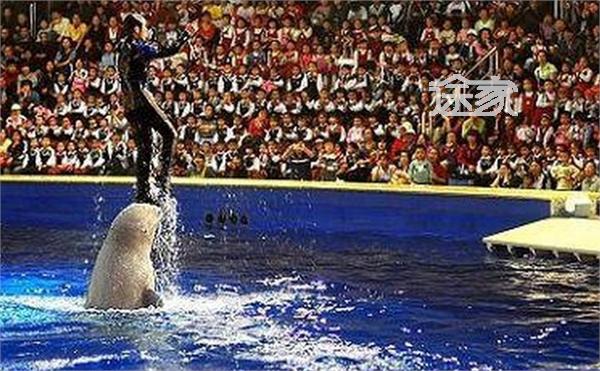 上海森林公园地图_百维网