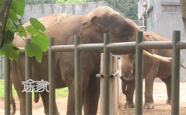 2号线南京红山动物园站