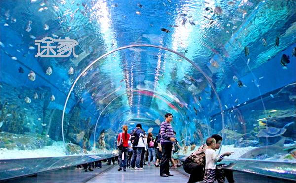 天津海昌极地海洋世界