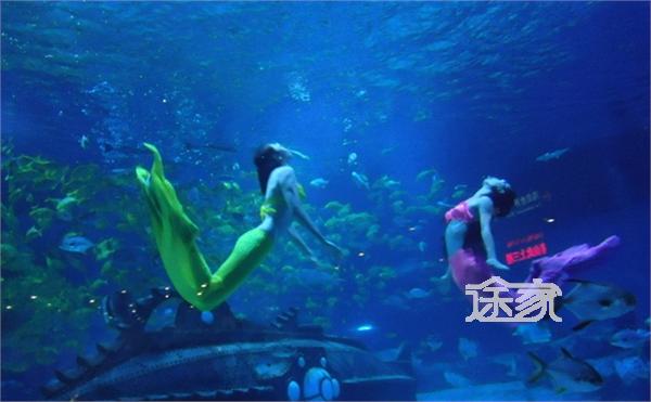 杭州极地海洋世界好玩吗