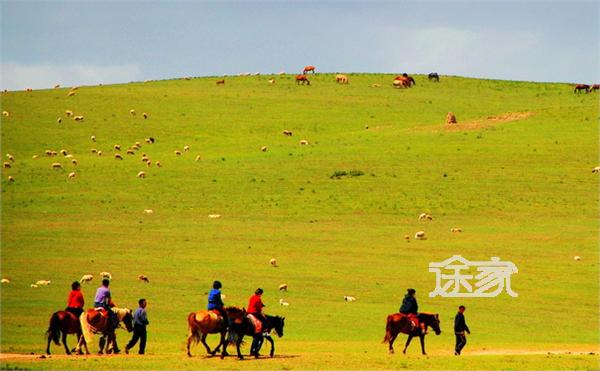坝上草原旅游指南