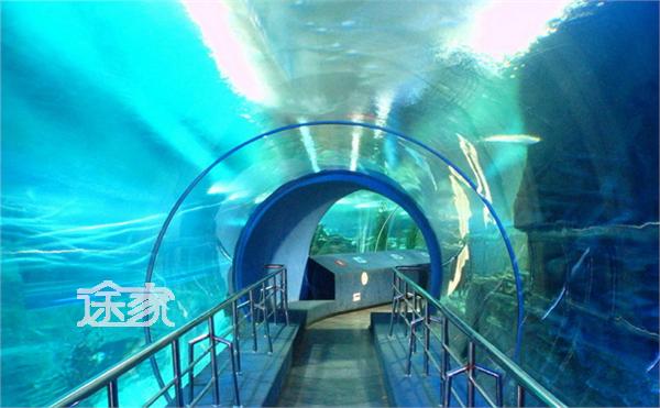 鼓浪屿海底世界好玩吗 鼓浪屿海底世界门票多少钱