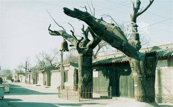保定清苑地图 保定清苑旅游攻略