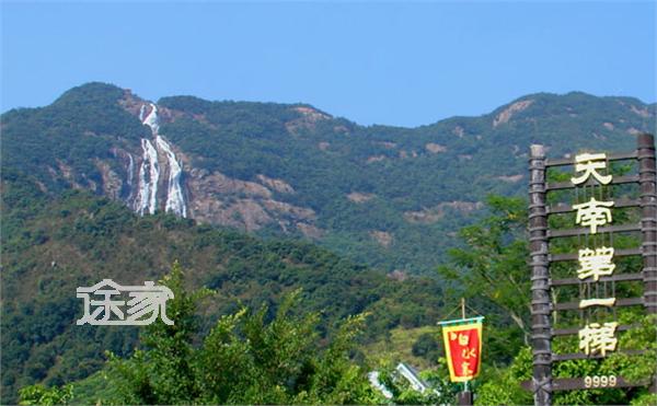 2014广州国庆节活动之增城首届森林艺术节