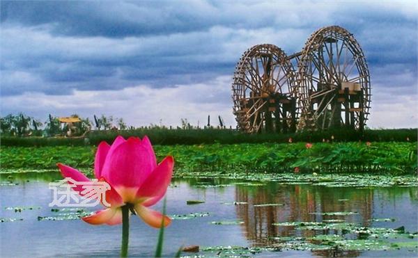 北京翠湖湿地公园开放了吗 北京翠湖湿地公园