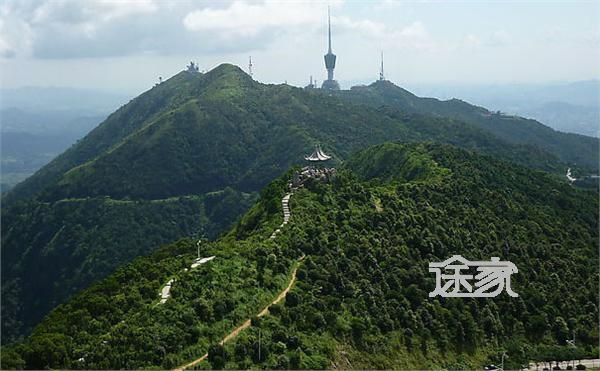 沙头角/盐田:103,202,205,仙湖/莲塘:330,218,1,梧桐山村:211,龙岗