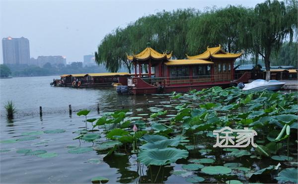 大明湖的夏雨荷_大明湖一年收入多少钱