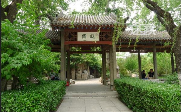 大明湖的夏雨荷_大明湖一年收入多少钱