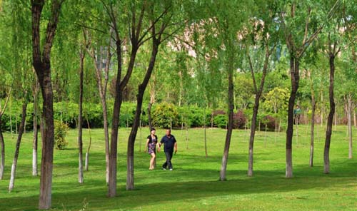 从广州城市v城市别墅坐公交车到西安西站坐公交车坐几路车不坐地铁钱公园湖西安麓多少图片