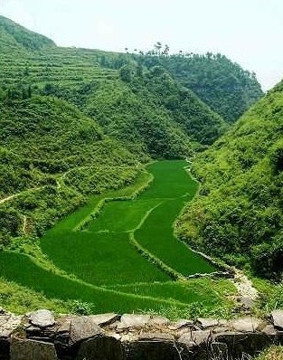 湘西旅游景点图片:腊尔山高原台地