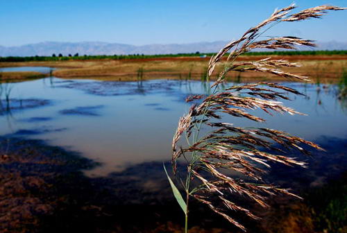 昭君岛简介 昭君岛旅游
