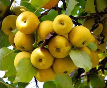 敦煌特产 敦煌特色旅游纪念品