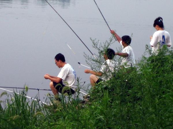 201308130515548276_s.jpg