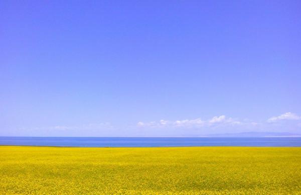 西宁在哪 西宁海拔是多少 西宁海拔高度-途家网