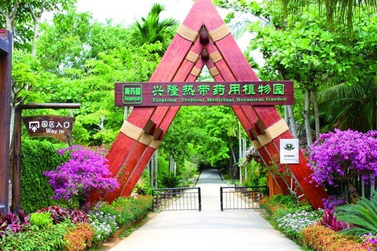 兴隆热带植物园图片:园区入口