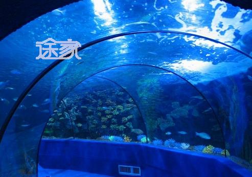 北京海洋馆团购门票价格 如何购买北京海洋馆门票